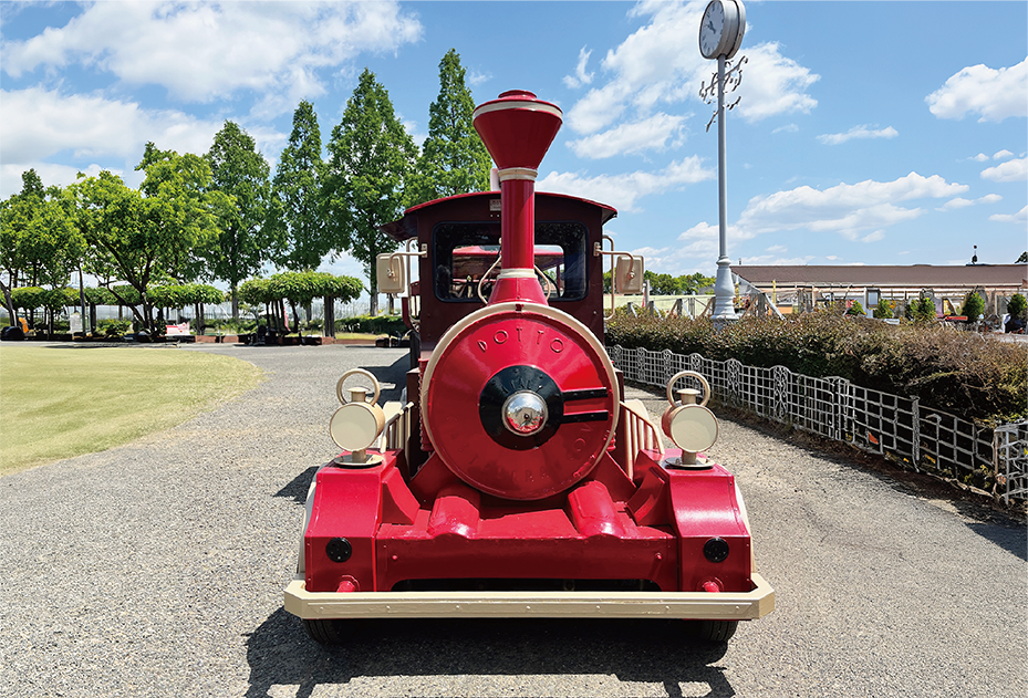 Image_3